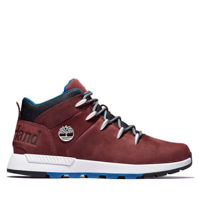 Outlet Zapatos Online Argentina - Timberland Arg